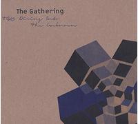 GATHERING - TG25: DIVING.. -DIGI- (3 CD)
