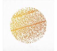 Gathering The - Beautiful Distortion