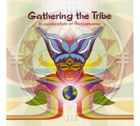 Gathering The Tribe - Various Artists (Audio CD)