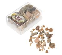 GATHINESS 1 Scatola Campione di Minerali Naturali e Fossili per Insegnamento e Laboratori Scolastici, Materiale Misto di Pietre e Rocce e Insegnanti