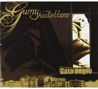 Gato Negro
