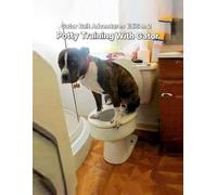 Gator Bait Adventures: POTTY TRAINING WITH GATOR