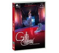 Gatta Cenerentola (DVD) Gallo Calzone Gassman A. Gallo,Calzone,Gassman A.