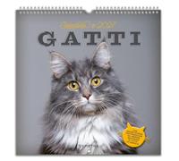 Gatti. Calendario 2027 da parete (30 x 30 cm)