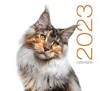 Gatti. Calendario da muro 2023