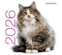 Gatti. Calendario da muro 2026