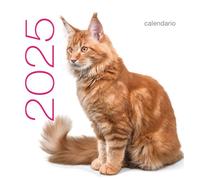 Gatti. Calendario da tavolo 2025