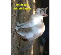Gatti che Cagano - Agenda 2026: Organizador de Calendario 12 mesi (gennaio - dicembre) Un'idea regalo sciocca e divertente per gli amanti dei Cani.