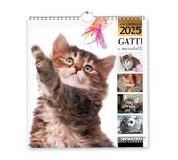 Gatti e marachelle. Calendario 2025