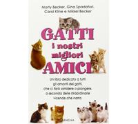 Gatti, i nostri migliori amici