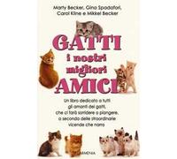 Gatti, i nostri migliori amici