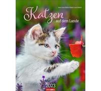Gatti in campagna Calendario 2023 Simpatici gattini in idillio rurale: un calendario fotografico da sciogliere. Grande calendario da parete per tutti gli appassionati della tigre della sedia.