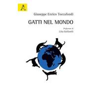 Gatti nel mondo
