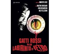 Gatti Rossi in Un Labirinto di Vetro (DVD)
