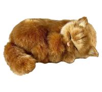 Gatto Angora- Il cucciolo che respira - PERFECT PETZZZ