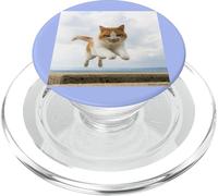 gatto bianco marrone volante cat_001 PopSockets PopGrip per MagSafe