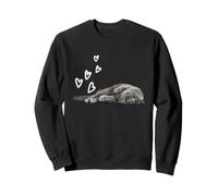 Gatto Britannico Capelli Corti Cuore Amore Felpa