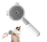 Gatto Brush torrido, pennello torrido per gatti,Cat Hair Brush Brushing Peigl con spray integrato - Pettine animale bollente, prodotti per la pulizia, strumento di depilazione per negozi di anim