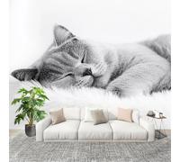 Gatto Carino Che Dorme Carta da Parati Fotografica Panorama Effetto 350x256 cm Bianco Decorazione per la Casa per Pareti per Camera Da Letto Sala Fotomurali In Tessuto Non Tessuto