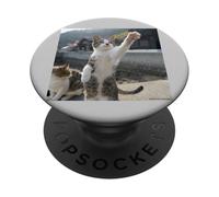 gatto che alza le mani_001 PopSockets PopGrip Adesivo