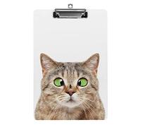 Gatto con una mosca sul naso Portablocco formato A4 Divertente lavoro estetico Studiando Lettera Portablocco standard 12,5×8,5 in faesite per l'aula scolastica Bambini che scrivono disegno