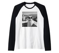 Gatto di vacanza che indossa occhiali da sole in Spagna Granada Alhambra Maglia con Maniche Raglan