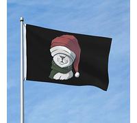 Gatto divertente che indossa un cappello da Babbo Natale per Natale 3x5ft Patio Garden Flag Banner per interni ed esterni