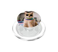 Gatto In Una Palestra Fare Ginnastica PopSockets PopGrip per MagSafe