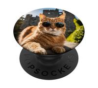 Gatto irlandese al castello di Blarney PopSockets PopGrip Adesivo