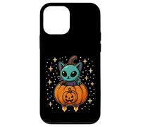 Gatto nel razzo di zucca Custodia per iPhone 12 mini