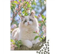 Gatto Ragdoll tra i Fiori Puzzle Atmosfera primaverile 1000 Pezzi Cartone Resistente Per Ragazzi 14+, Difficile Ma Soddisfacente, Regalo Compleanno Originale 70x50cm/1000pcs