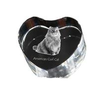 Gatto riccio americano cuore di cristallo con gatto Art-Dog