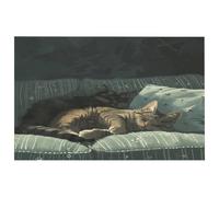 Gatto sdraiato sul divano tappeto ingresso antiscivolo morbido tappeto con retro in gomma super assorbente porta d'ingresso tappeto per ingresso, camera da letto, ufficio, cucina, decorazione per la