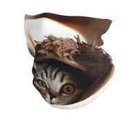 Gatto sotto coperta scaldacollo,Passamontagna multifunzionale,Maschera per il viso Protezione dal vento per il freddo all'aperto