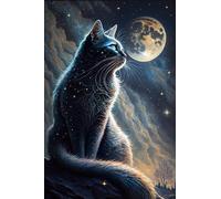 Gatto Sotto Le Stelle Cartelli Metallo Vintage Poster Metal Decorative Cartello Decorativo Per Ristorante Murale Bagno S