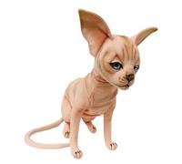 Gatto Sphynx seduto, adorabile e morbido al tatto e da coccolare, regalo perfett