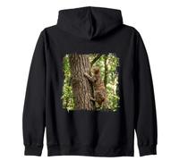 Gatto Tigrato Arrampicata Alberi Foresta Bosco Felpa con Cappuccio