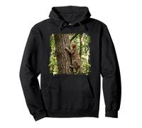 Gatto Tigrato Arrampicata Alberi Foresta Bosco Felpa con Cappuccio