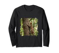 Gatto Tigrato Arrampicata Alberi Foresta Bosco Maglia a Manica