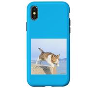 gatto volante_001 Custodia per iPhone X/XS