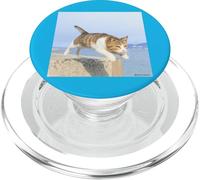 gatto volante_001 PopSockets PopGrip per MagSafe