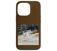 gatto volante con fish_001 Custodia per iPhone 13 Pro