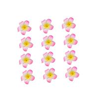 Gatuida 12 pezzi Fermagli per Plumeria per Sposa e Accessori Bohemian per Matrimonio Vacanze Al e Feste Rosa