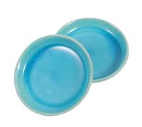 Gatuida 2 Pezzi Gua Sha Dish Massaggiatore Corpo Drenante Anticellulite Resistente e Compatto per Trattamenti Efficaci e Sicuri