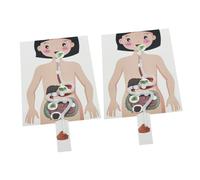 Gatuida 2 set Modelli DIY Apparato Digerente Umano per Kit Educativo di Anatomia Scientifico per Ragazzi e Ragazze Apprendimento Interattivo del Corpo Umano
