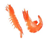 Gatuida 2pezzi Riproduzione Di Gambero Simulato in Pvc Gambero Decorativo Realistico Oggetto Di Scena Per Foto Materiale Sicuro e Resistente