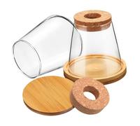 Gatuida 2pezzi Stazione di Propagazione in Acqua da Bottiglie di Vetro Trasparente con Base da Vasi in Vetro per Piante Idroponiche e Allevamento di Pesci Rossi