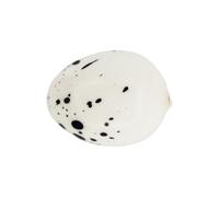 Gatuida 30 Pezzi Uova Artificiali Simulazione Uova di Quaglia Mini per Decorazioni Pasquali Fai da Te e Addobbi Stagionali