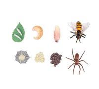 Gatuida 8 Modelli Evolutivi Insetti Realistici per Educativi con Ciclo Crescita Api e Ragni per Gioco Cognitivo e Apprendimento Naturalistico