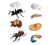 Gatuida 8 pezzi Modelli Evolutivi di Insetti Operaie in PVC Resistente Giocattolo Cognitivo per Simulazione Ciclo di Vita e Apprendimento Naturale